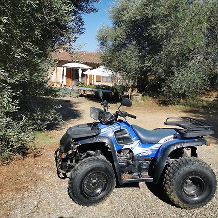 Agriturismo Cantagalli San Quirico dʼOrcia Eksteriør bilde