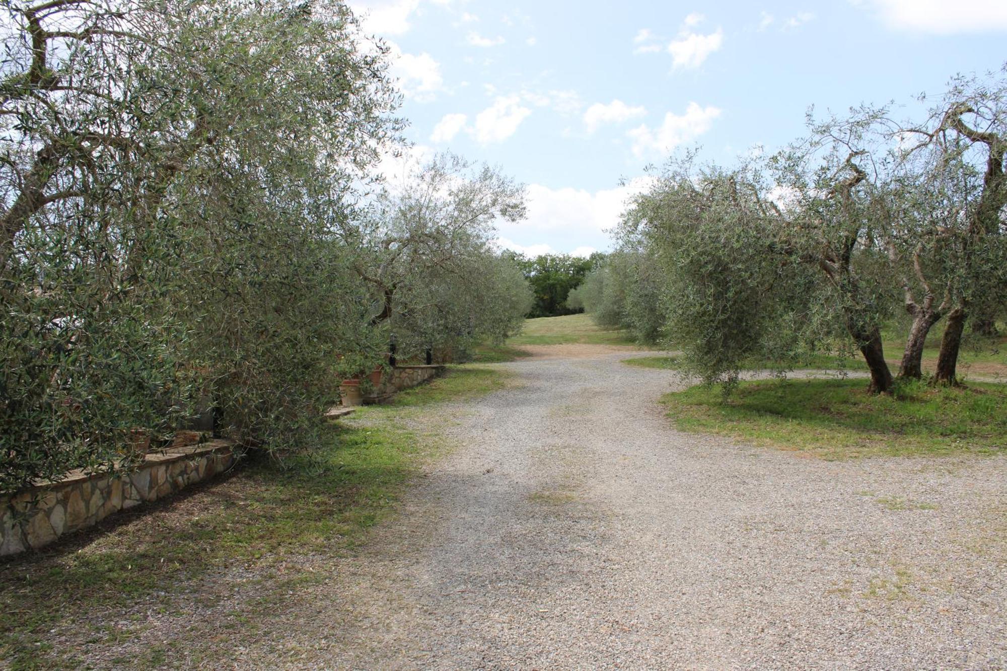 Agriturismo Cantagalli San Quirico dʼOrcia Eksteriør bilde