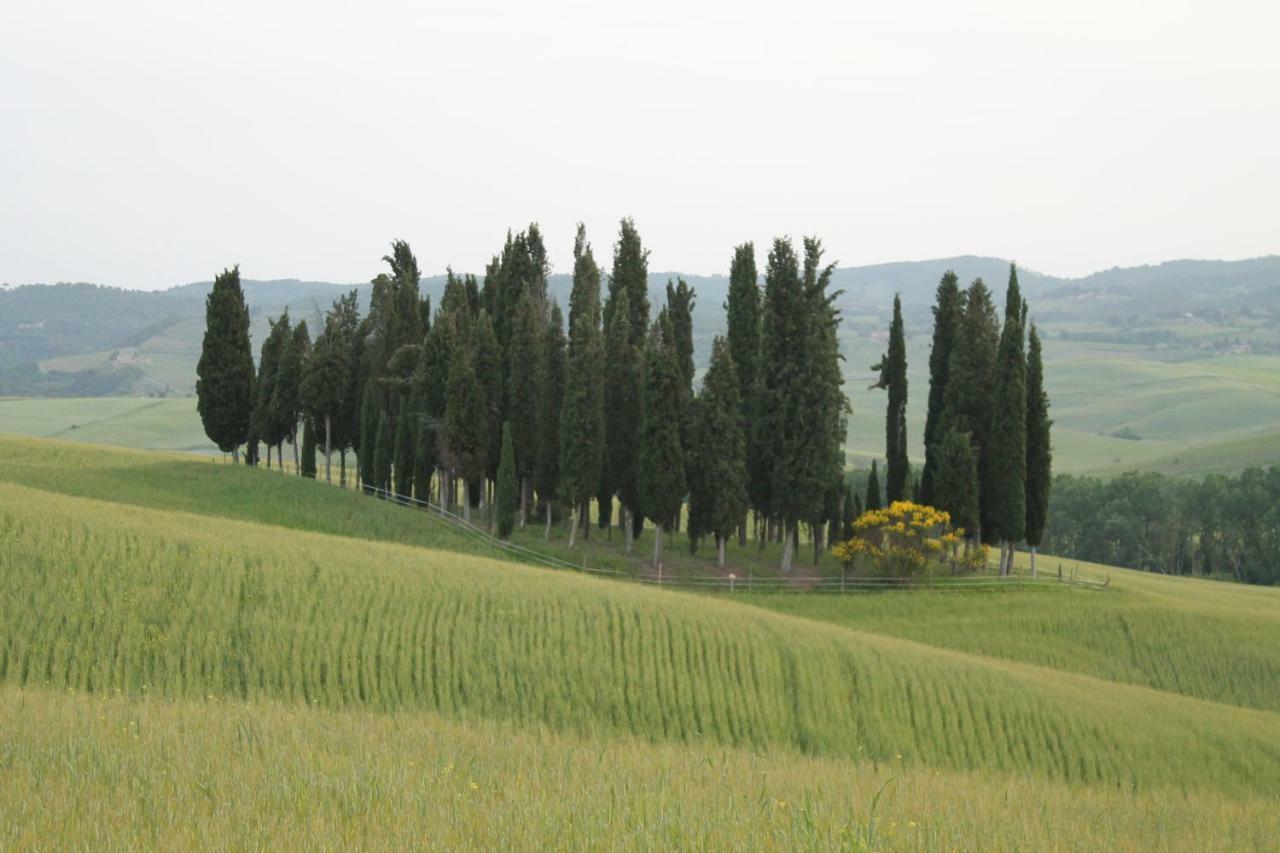 Agriturismo Cantagalli San Quirico dʼOrcia Eksteriør bilde