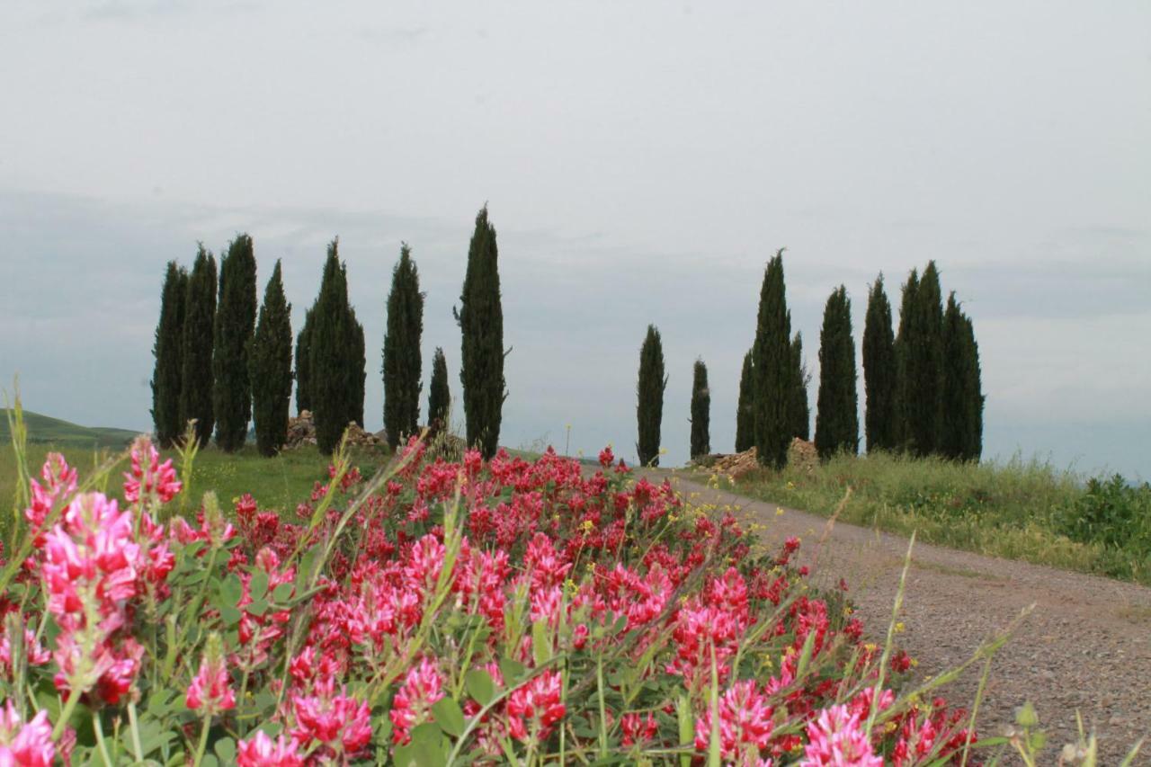 Agriturismo Cantagalli San Quirico dʼOrcia Eksteriør bilde