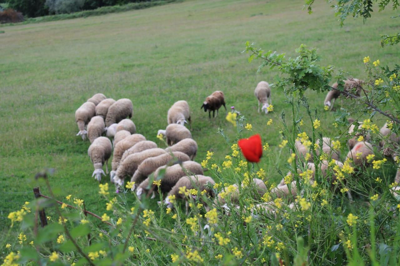 Agriturismo Cantagalli San Quirico dʼOrcia Eksteriør bilde